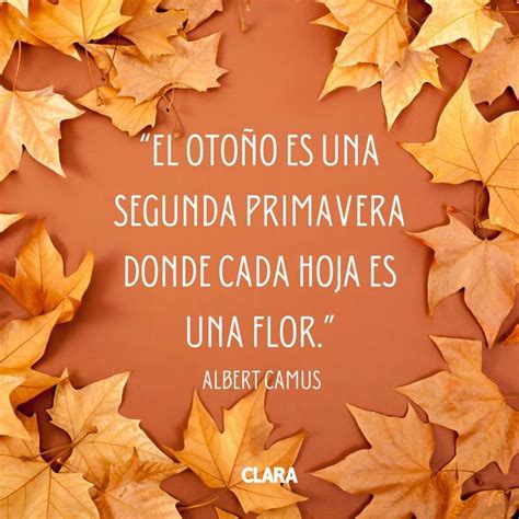 frases de otoño para whatsapp|mejores frases de otoño.